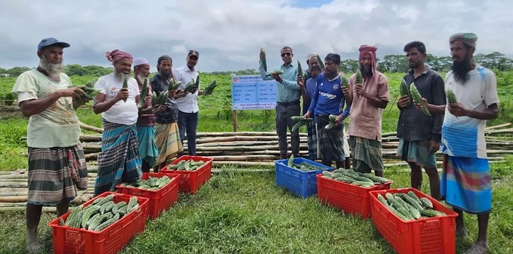 করলার বাম্পার ফলনে কৃষকের মুখে হাসি
