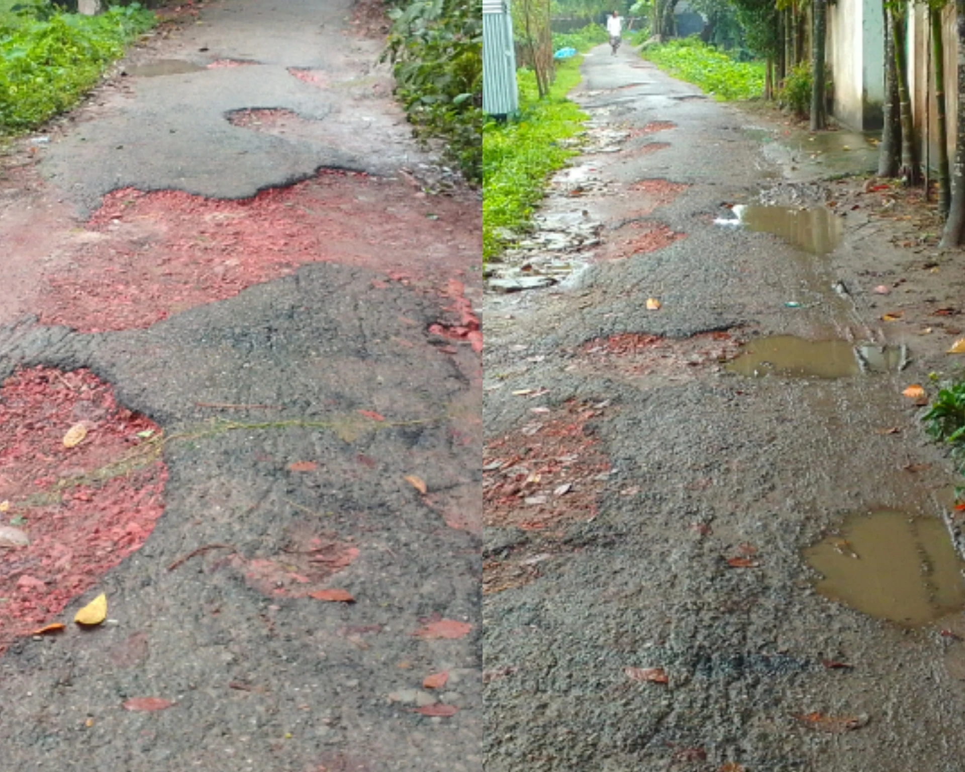 নরসিংদীর মনোহরদীতে আঞ্চলিক পাকা রাস্তাগুলোর বেহাল দশা,সংস্কারের দাবী এলাকাবাসীর