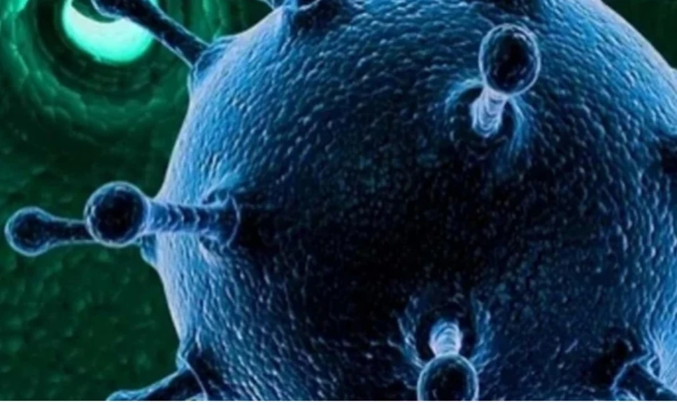 এশিয়ার দিকে এগিয়ে আসছে ভয়ঙ্কর ‘এইচএমপিভি’ ভাইরাস